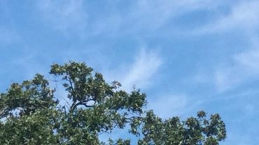 December in New Orleans—-Papa Noel-style!