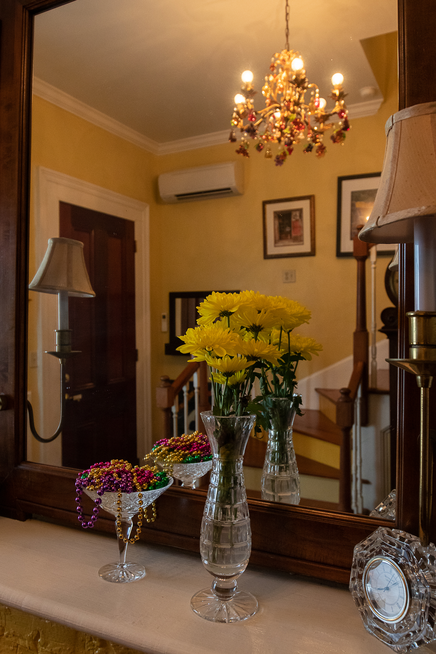 Background Contact Info