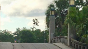 Another Beautiful New Orleans Day!