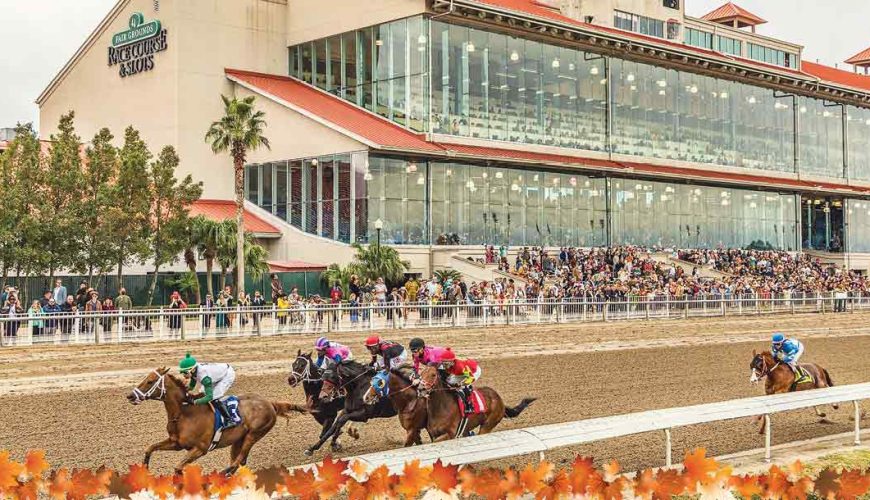 New Orleans Bed and Breakfast Directory